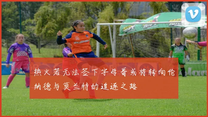 热火若无法签下字母哥或将转向伦纳德与莫兰特的追逐之路